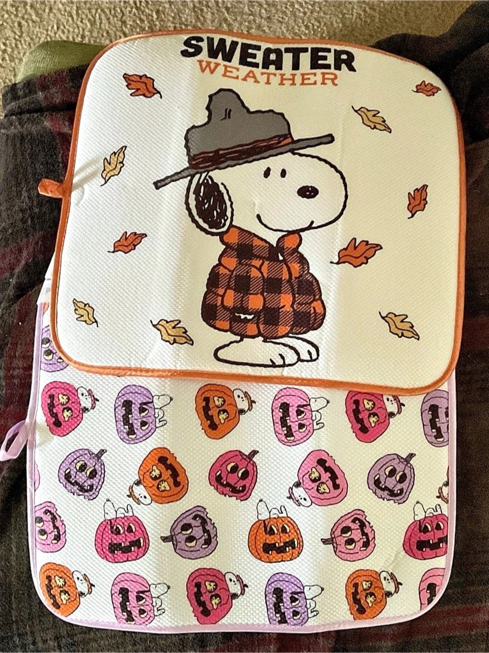 Peanuts Dish Drying Mats Fall Halloween NEW